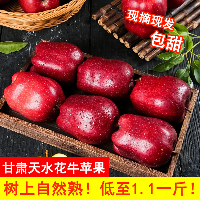 【现摘现发】正宗甘肃天水花牛苹果粉面苹果蛇果现摘现发水果辅食
