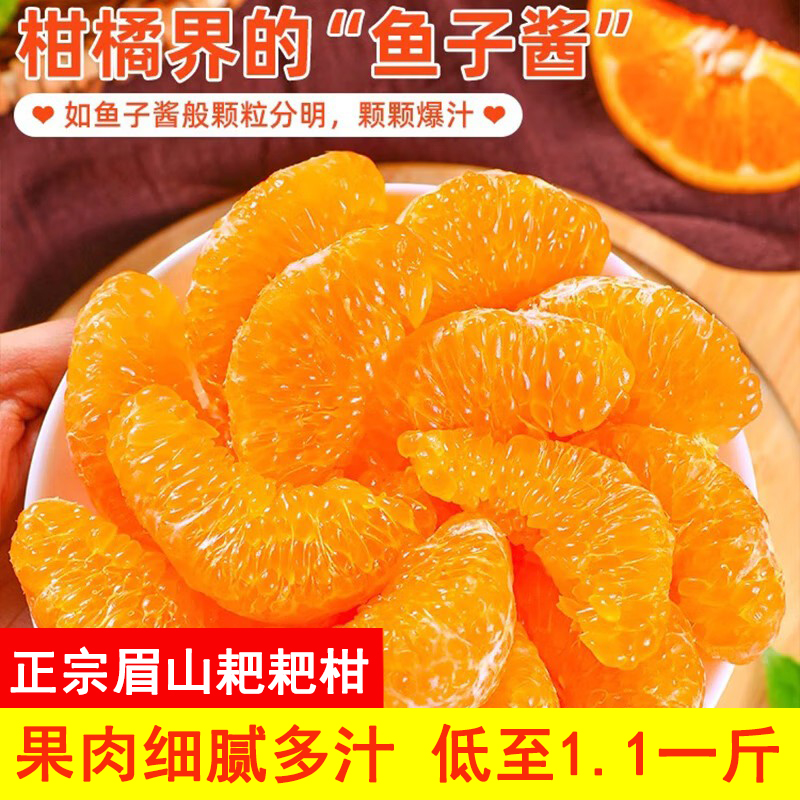 【现摘现发】四川春见耙耙柑新鲜柑橘粑粑柑橙子水果礼盒原产地