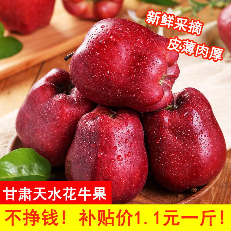 【现摘现发】正宗甘肃天水花牛苹果粉面苹果蛇果现摘水果婴儿辅食