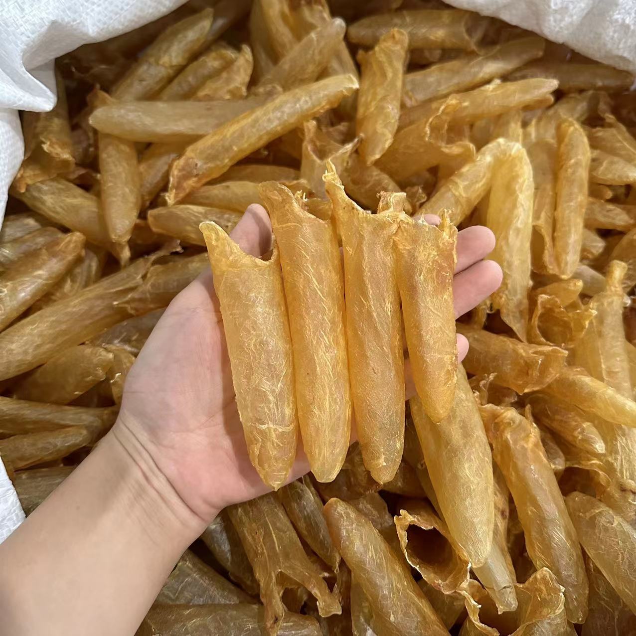 黄花胶 100头黄花筒鱼胶