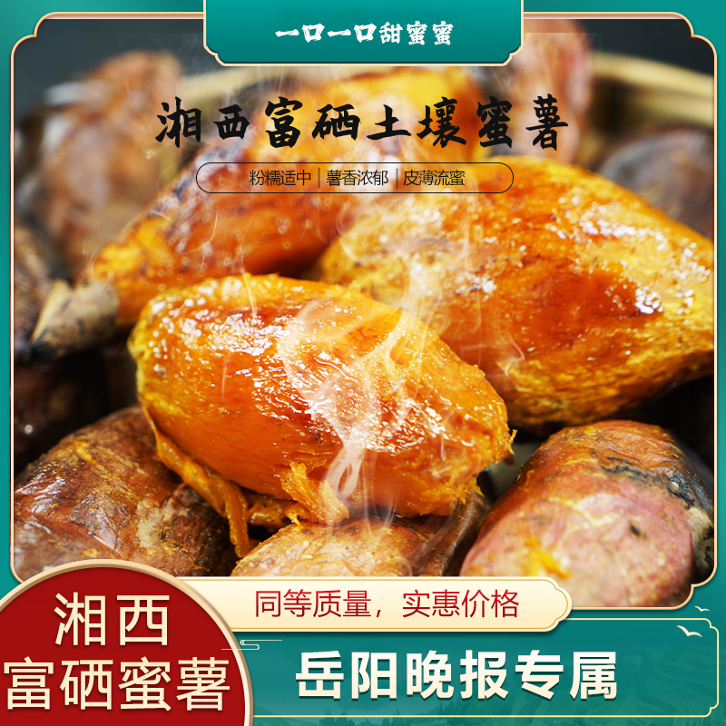 【岳阳晚报】湘西高山蜜薯农家种植优质番薯烤地瓜糖心红薯4.5斤装
