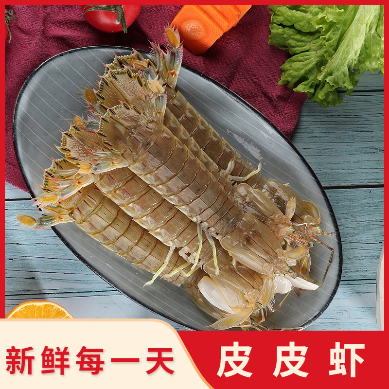 【下船直发】 皮皮虾  渤海湾皮皮虾鲜野生琵琶虾新鲜 海鲜2-5斤