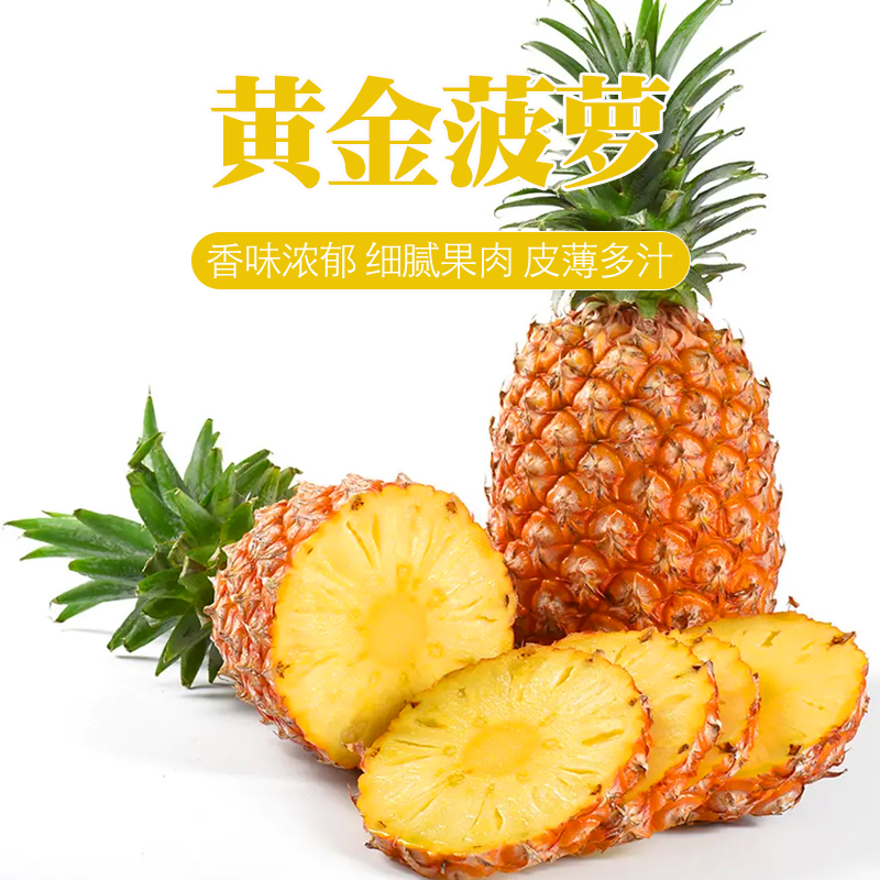 【坏果包赔】sw黄金菠萝果肉细腻一箱2粒5-5.5斤新鲜水果美味多汁