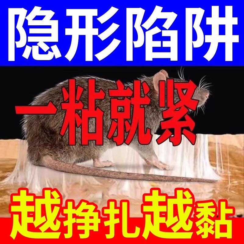 家用新款隐形加大加厚老鼠粘粘鼠板强力胶超强捕鼠灭鼠神器老鼠贴