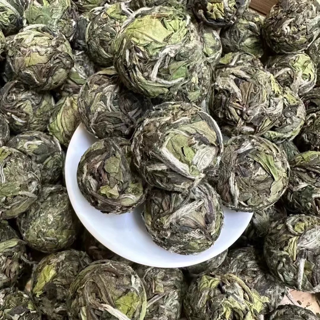 【福鼎茶青溯源】2023年福鼎磻溪花香白牡丹龙珠