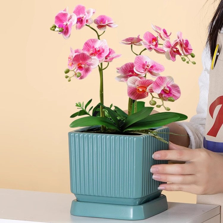 方形陶瓷花盆带托盘办公室桌面创意蝴蝶兰花盆小花型单颗简约北欧