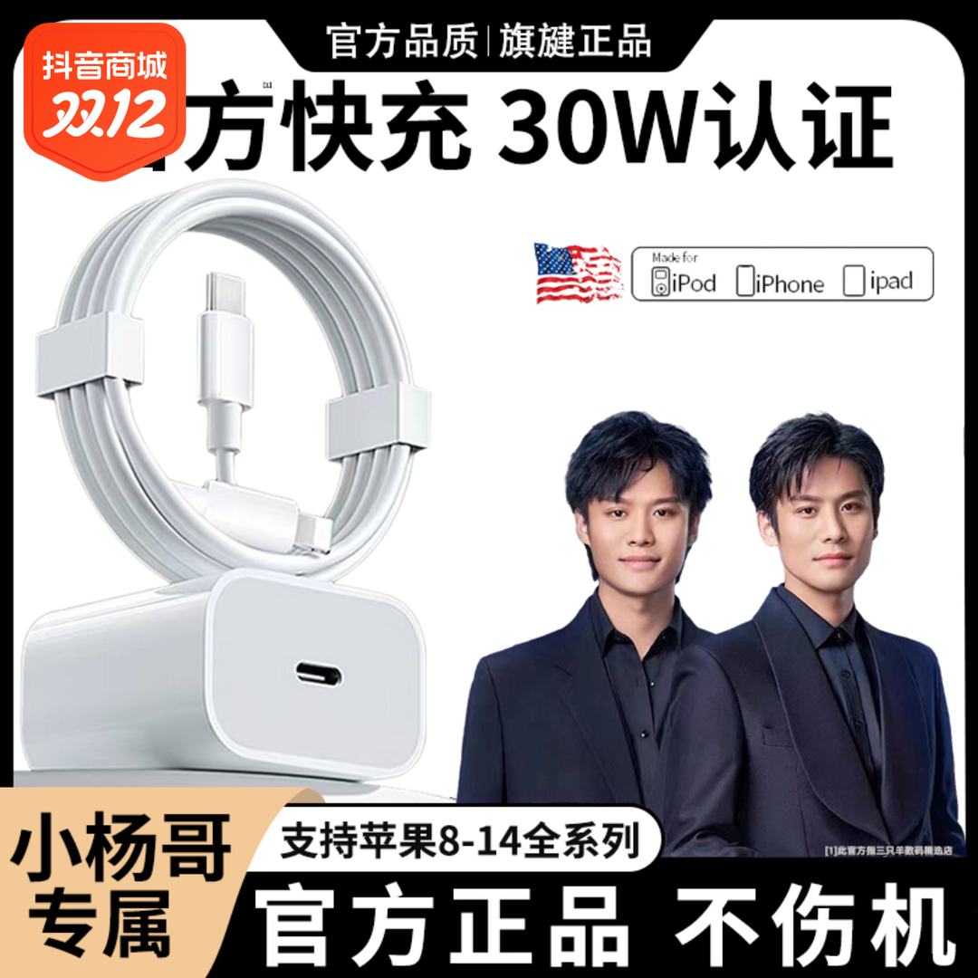 30W适用苹果充电PD头数据线14/13平板充电通用器typec快速