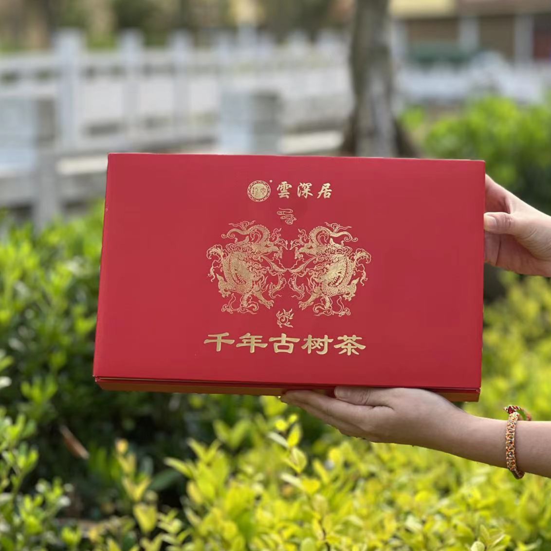 【麻栗坡专场】G礼麻栗坡千年古树龙珠 古树普洱生茶 224克/份