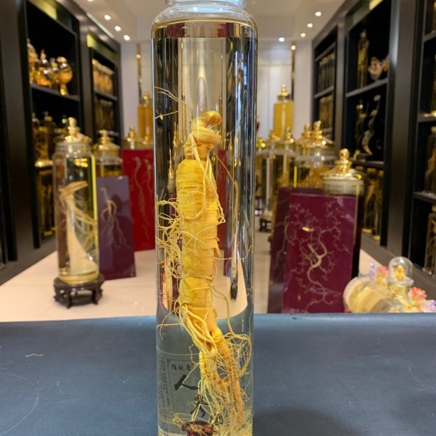 可心推荐人参酒改价链接