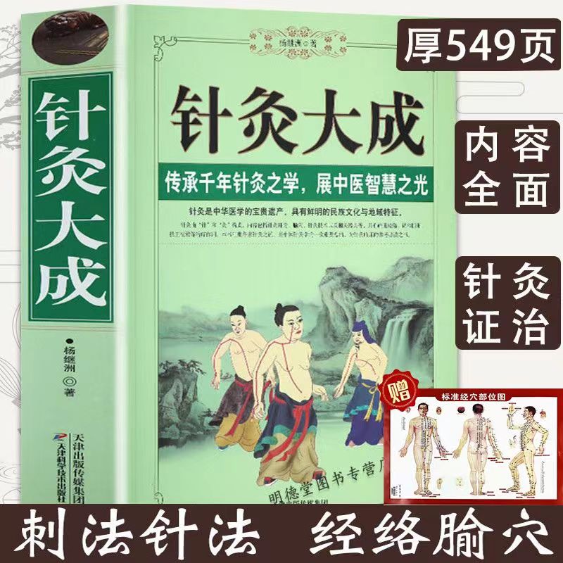 针灸大成 杨继洲著 中医针灸学自学入门 正版书籍