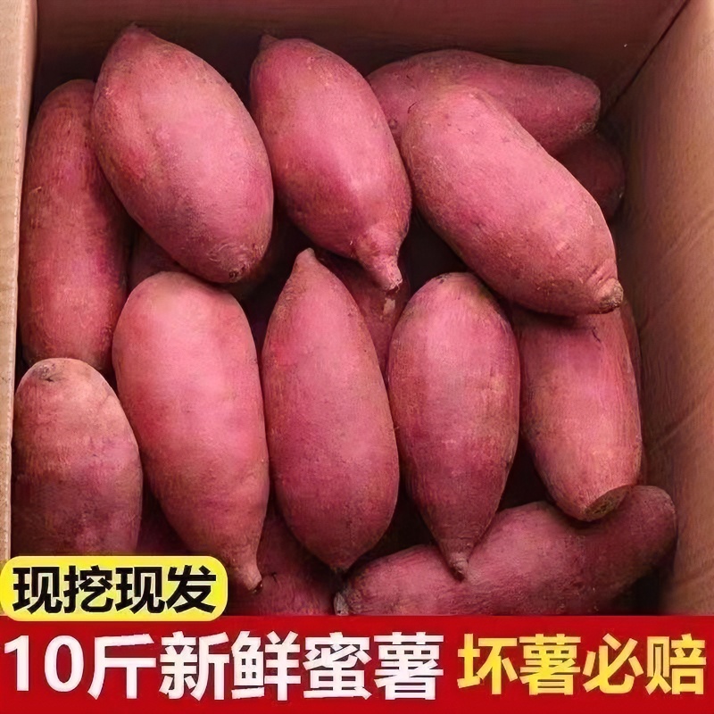 【抢购中】超甜沙地红薯1/10斤新鲜红蜜薯吃烤薯地瓜番薯板栗薯烟