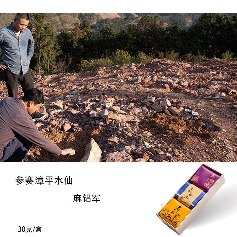 参赛漳平水仙品鉴组合/麻铝军/王子水仙/老枞水仙/岩水仙30g