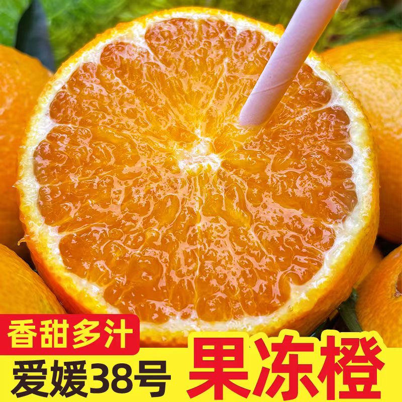 【精选爱媛果冻橙】新鲜应季水果香甜皮薄多汁柑橘4.6/8斤肉厚采摘