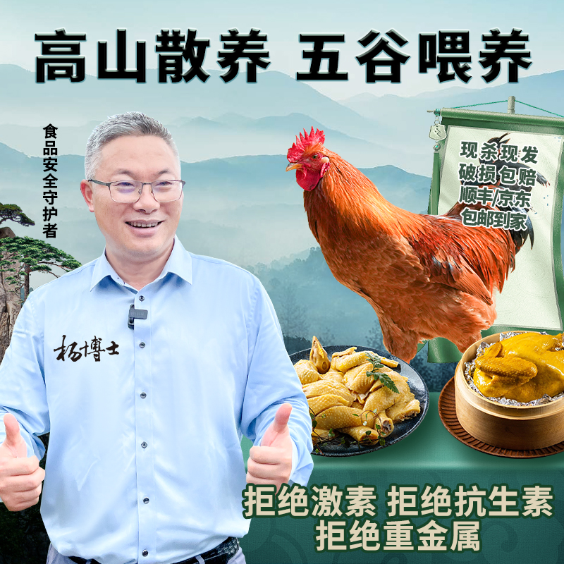 【土鸡定时预售】杨博士皖南高山散养土鸡童子鸡一只装净重650克