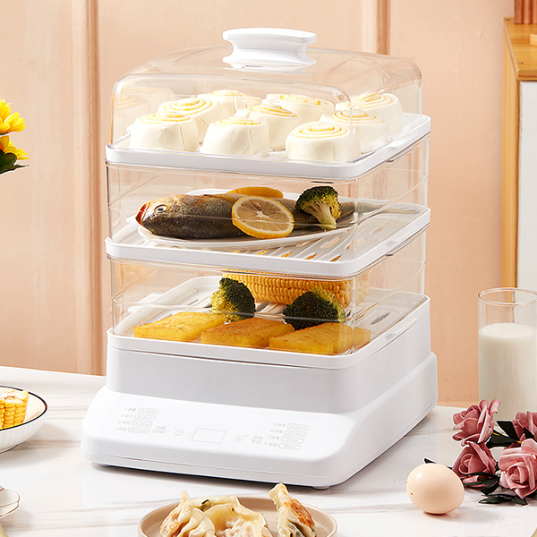 家用多功能电蒸锅大型神器大容量真空全自动商用恒温自制调温