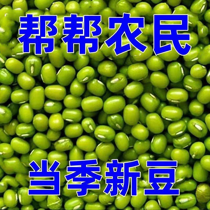 【首单立减】绿豆批发东北农家新绿豆绿豆粥绿豆汤笨绿豆发芽有机