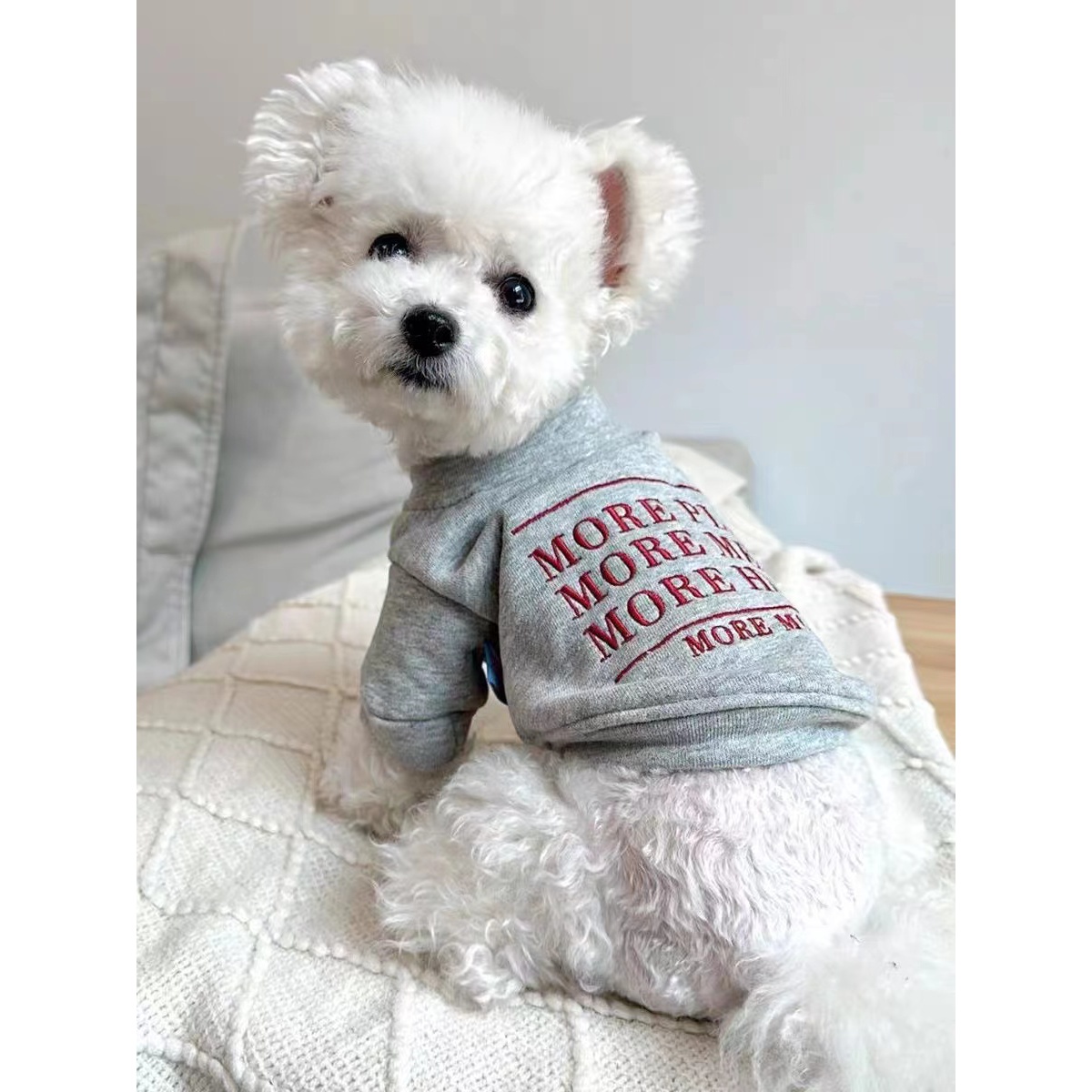 狗狗可爱衣服宠物比熊秋冬休闲加绒卫衣猫咪小型犬两脚衣泰迪博美