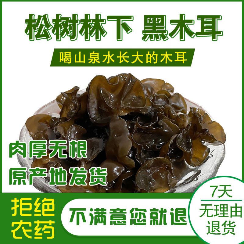 东北松树林黑木耳250克500克泡发率高干木耳木耳菜肉厚产地直发