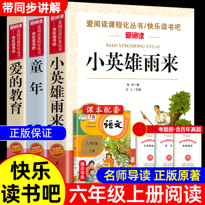 小学六年级上册快乐读书吧爱的教育小英雄雨来童年书考点
