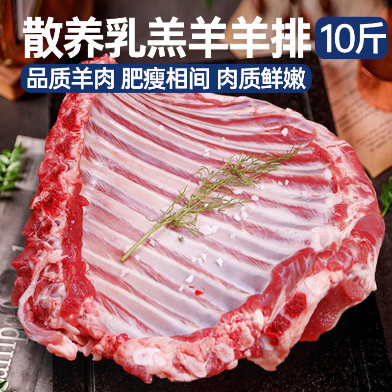 草原散养乳羔羊 羊排 10斤烤肉炖煮切块发货1