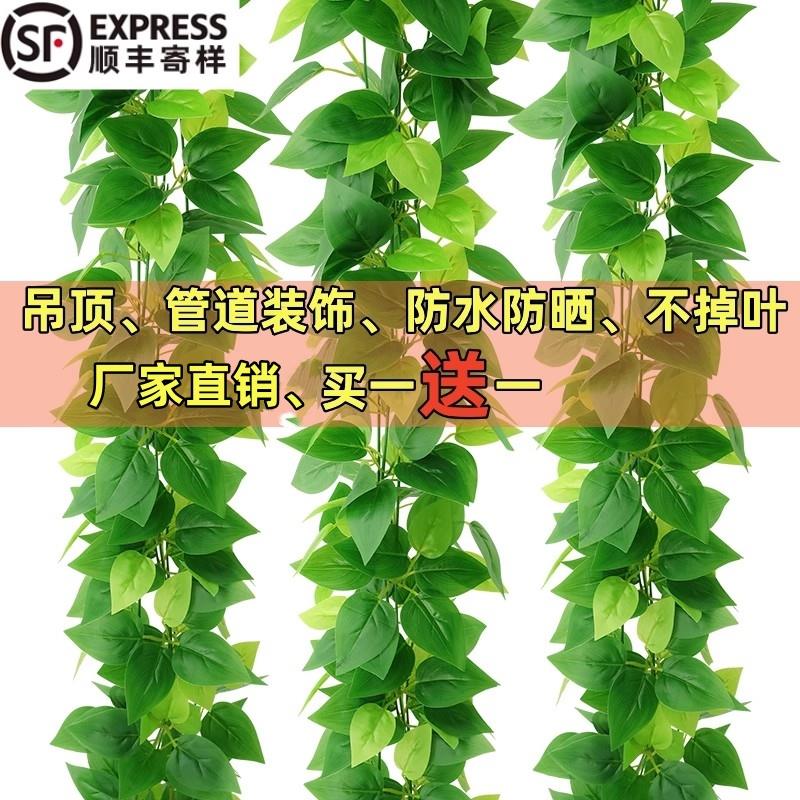 仿真藤条绿萝叶装饰遮挡假树叶绿藤植物塑料花藤水管道遮挡绿叶花