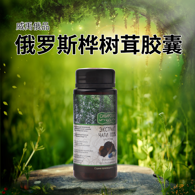 俄罗斯原装进口贝加尔湖白桦茸萃取粉胶囊口服30克（70颗×0.4g）