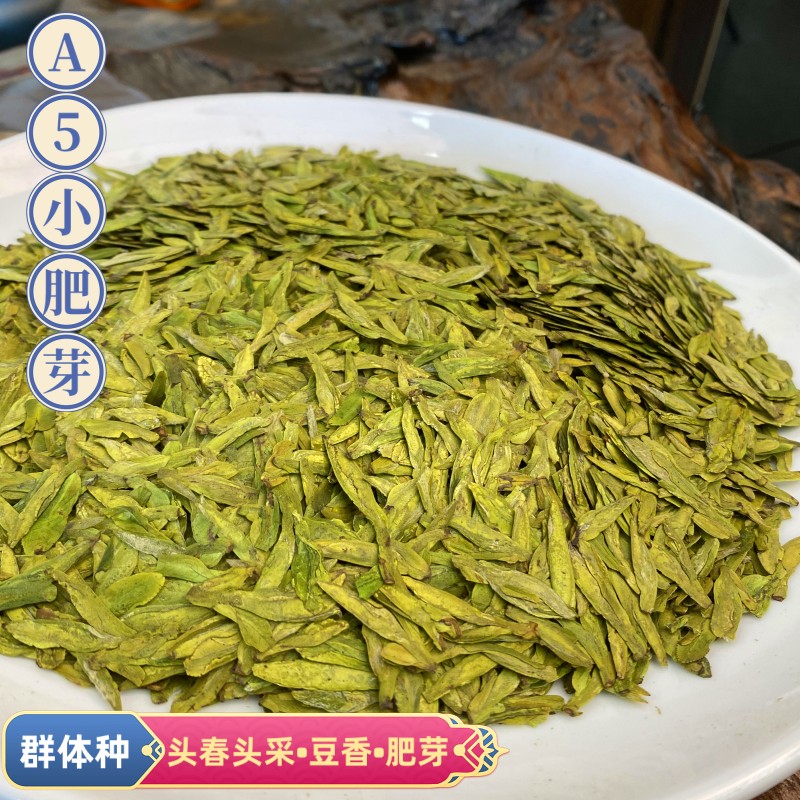 柴龙【A5】2023年大佛龙井新茶明前豆花香正宗龙井茶早茶