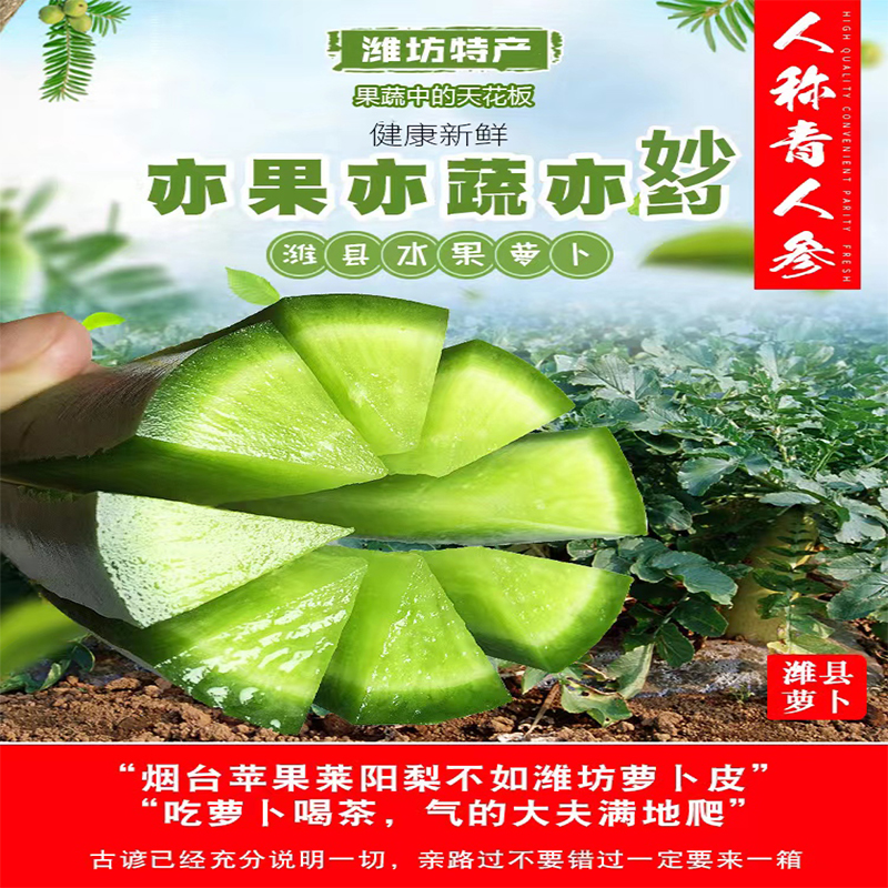 水果萝卜新鲜正宗潍坊青萝卜甜脆水果型蔬菜沙潍坊萝卜农科院即食