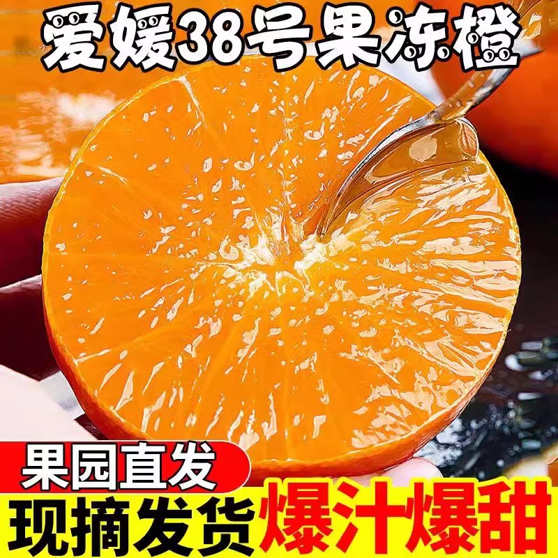 四川爱媛38号优选手剥果冻橙8斤当季新鲜水果橙子5斤整箱皮薄多汁