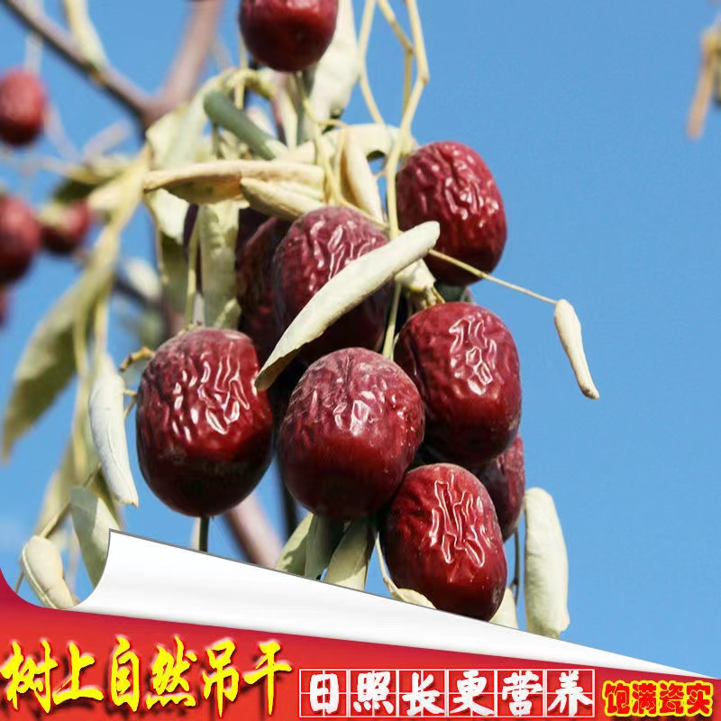 【粉丝团专享】原生态吊干新疆灰枣1斤/3斤/5斤多规格