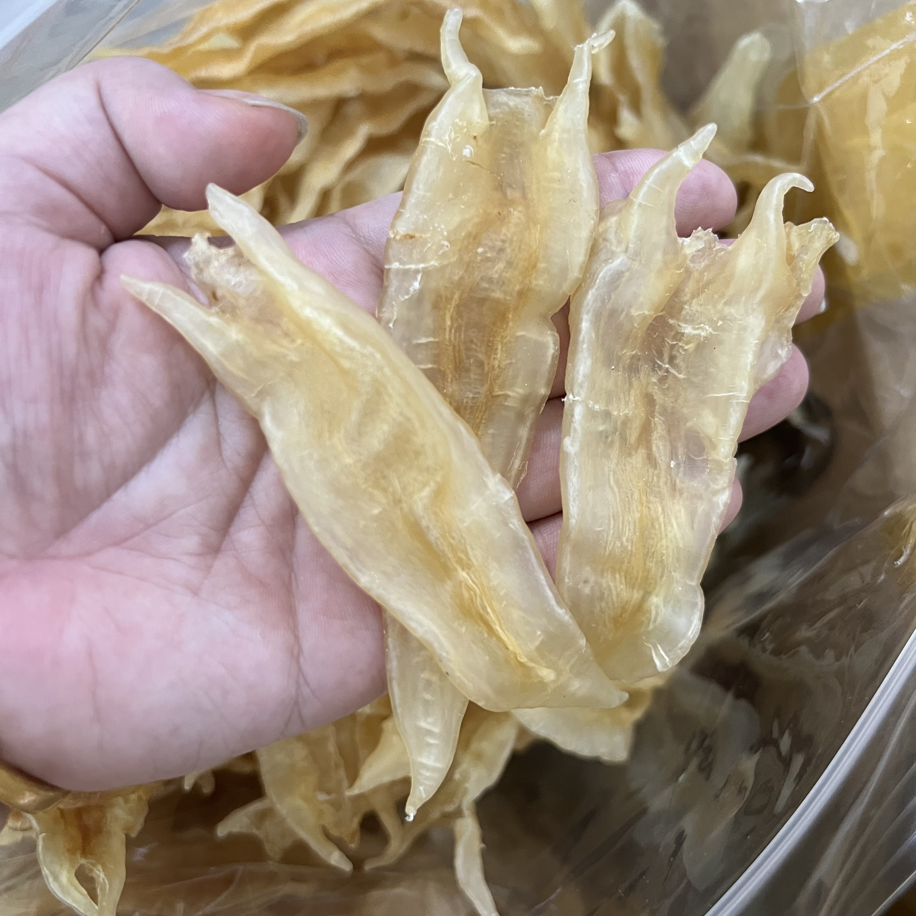 【三三】胶 鱼胶500克