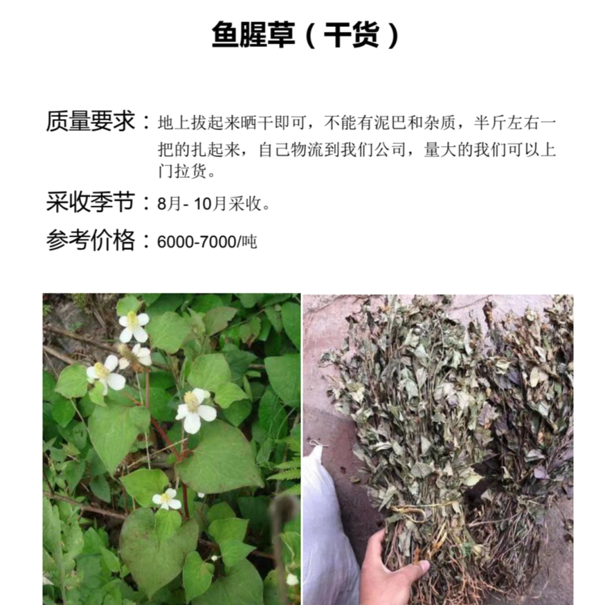 彩图文本价格行情做山货必备工具