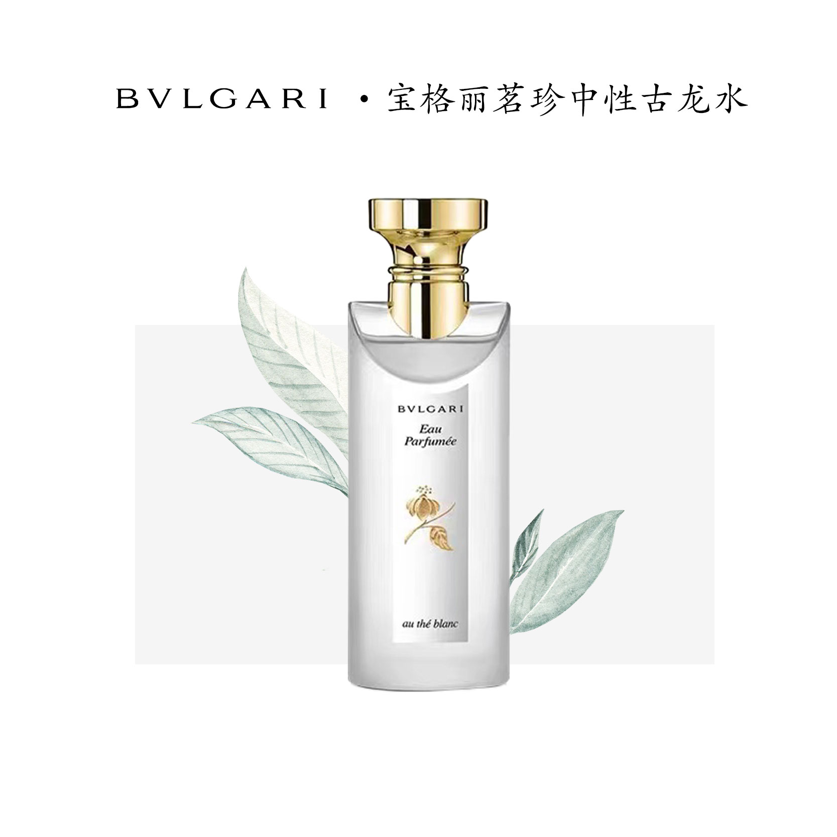 【 白茶 】/ 茗珍中性古龙水EDC香水
