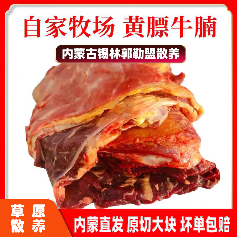 内蒙散养【黄膘牛腩肉】大块整切无碎肉产地直发 无添加 不调理