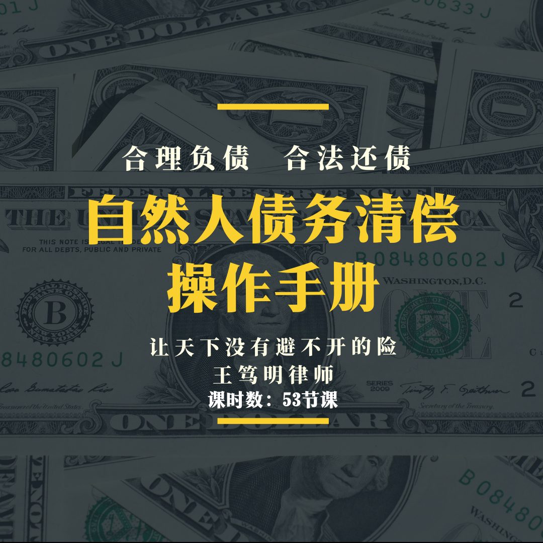 合理负债，合法还债 《自然人债务清偿手册》