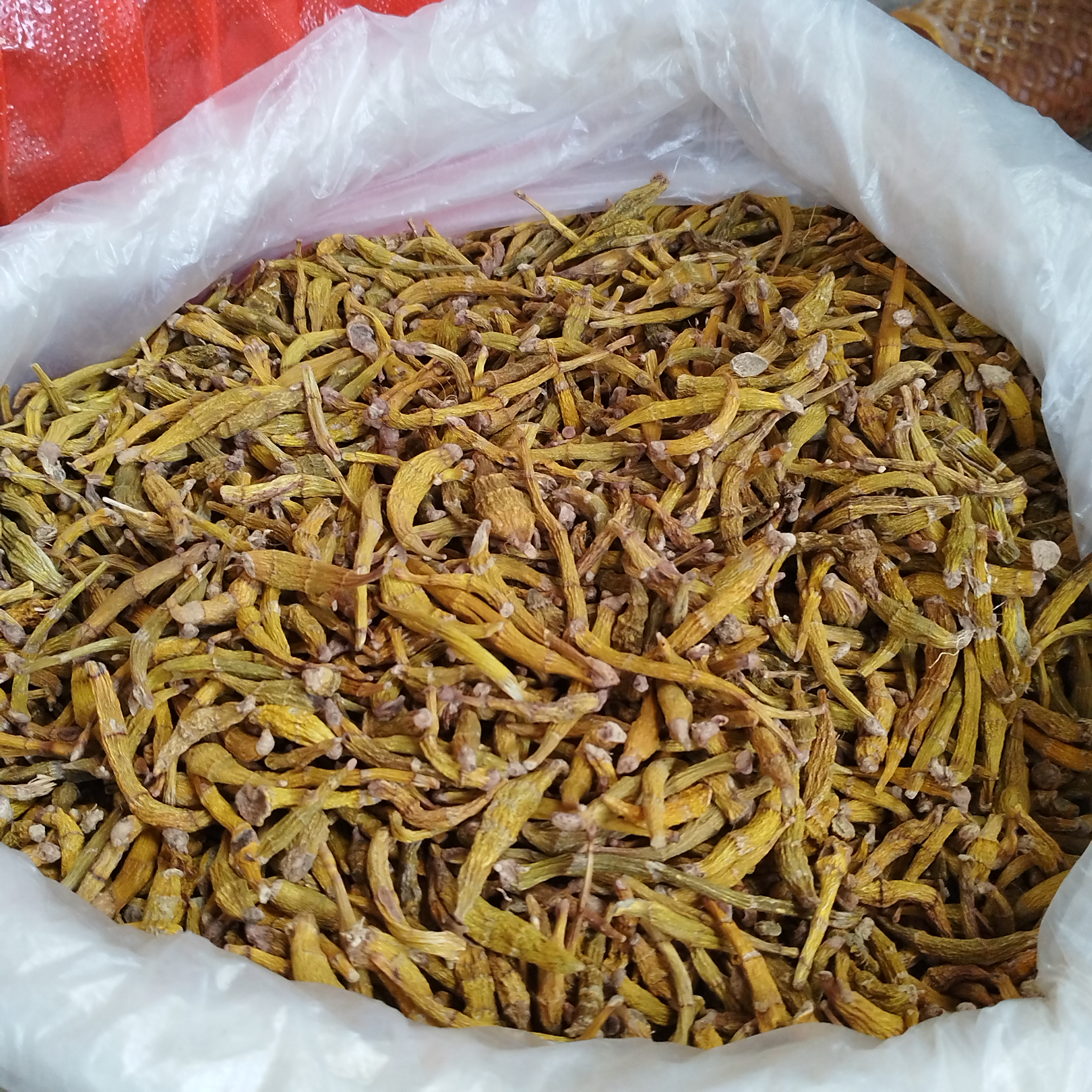 云汇土特产【虎牙石斛】云南山货