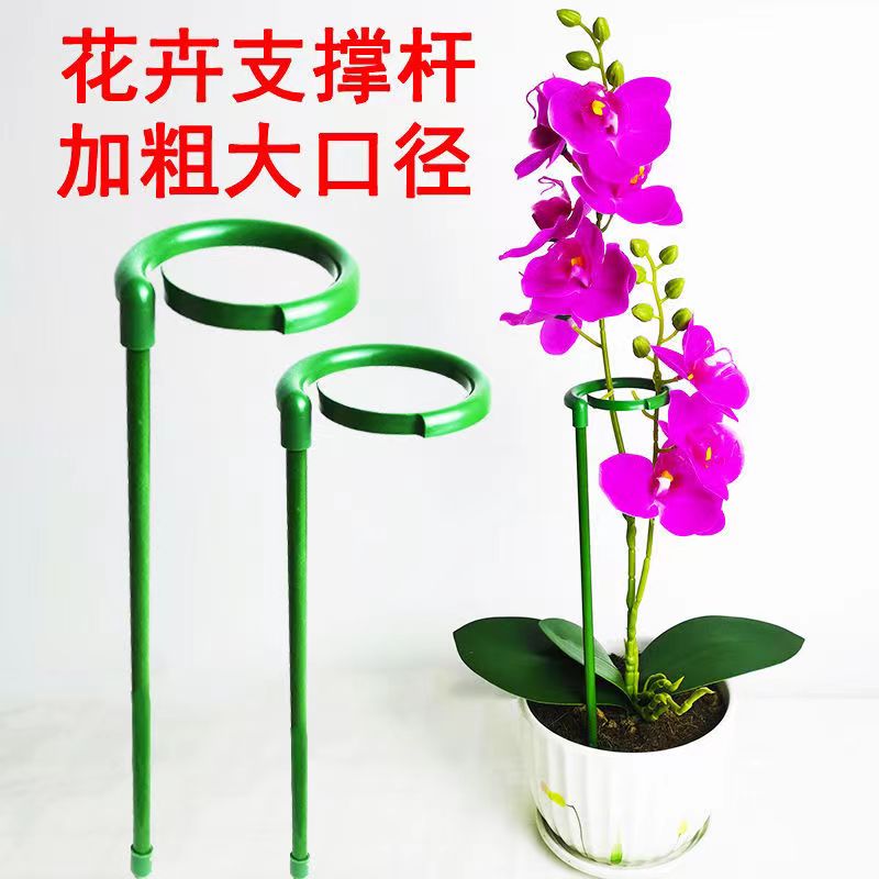 朱顶红防倒伏支架植物固定花支架园艺支撑杆蝴蝶兰绣球支撑花架子