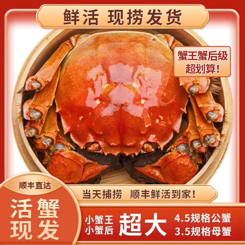 鲜晨香【活蟹现发】大闸蟹4.5规格公蟹3.5规格母蟹4对送1对到手10只