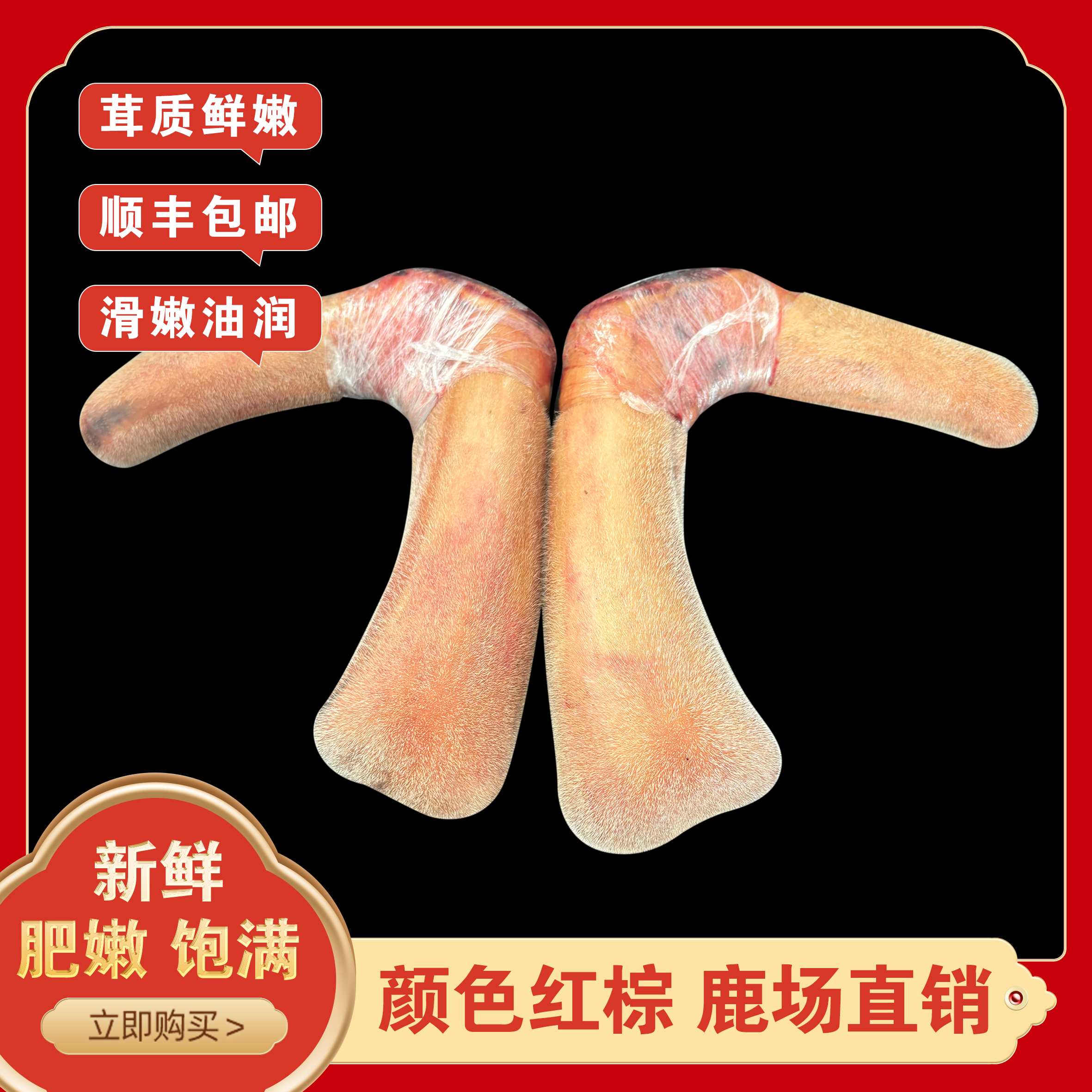 洋 东北特产   新鲜鹿茸 直播间选购 顺丰包邮