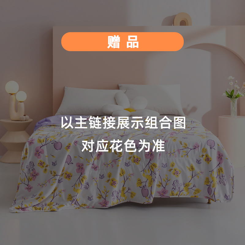sd666【赠品专属】Disney/迪士尼系列夏季水洗冰丝夏凉被