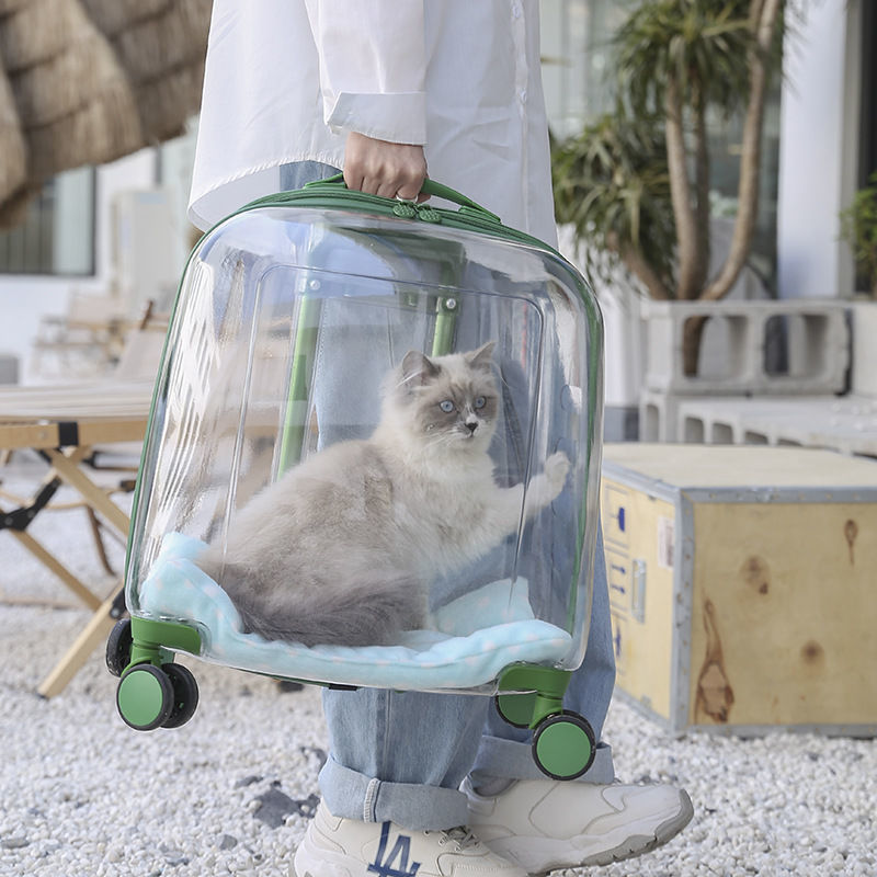 宠物拉杆箱两只大容量家用便携式网红泡泡箱猫咪透气透明狗航空箱