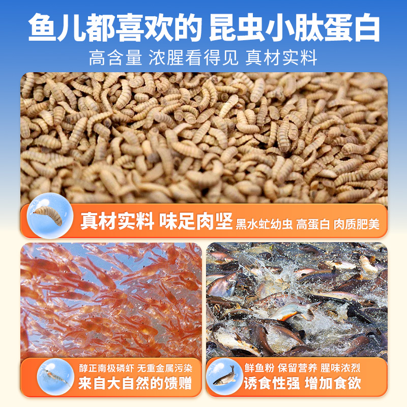 地狱猫饵料昆虫蛋白鱼饵秋冬腥香黑水虻四季浓腥鲫鲤鱼饵腥味成团