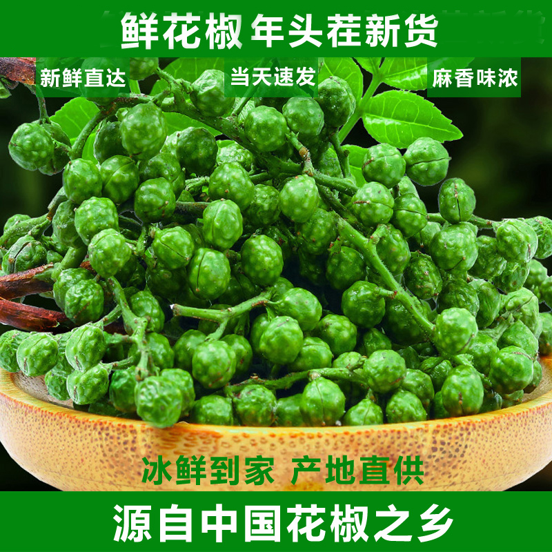 青花椒新鲜特产颗粒鲜藤椒色青味麻江津现摘保鲜麻椒真空鲜花椒