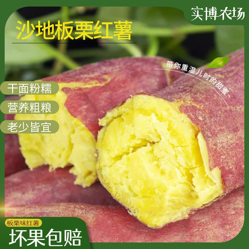 陕西正宗沙地板栗红薯粉糯香甜地瓜干面番薯黄白心板栗薯5/9斤装