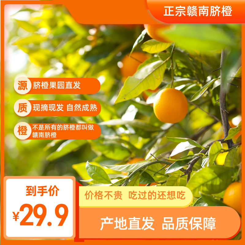 【宠粉浮力】正宗江西赣南脐橙新鲜9斤5斤赣州果园产地直发精品大果