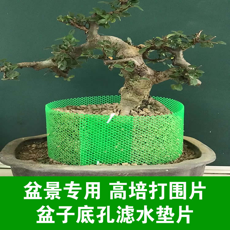盆景加高围圈挡土控根器高培土打围花盆垫片园艺工具花盆底孔垫网