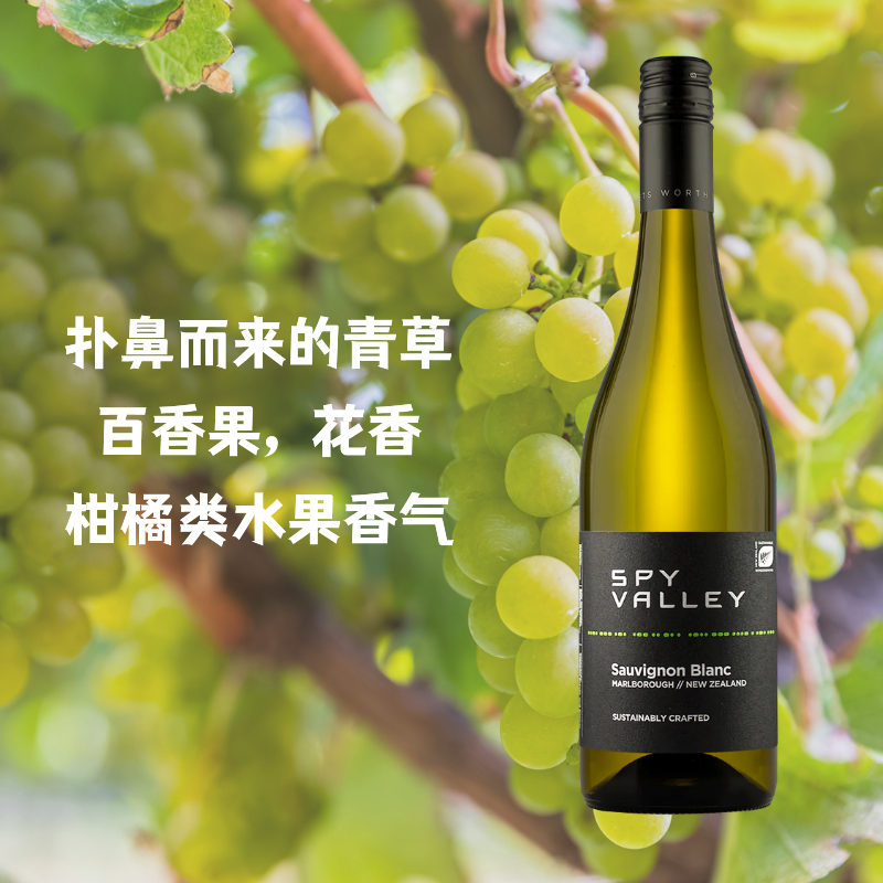 新西兰经典长相思干白葡萄酒  750ml