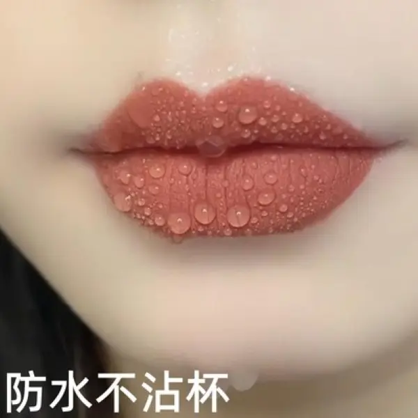 新款不掉色不沾杯口红防水雾面显白显气质哑光百搭肉桂奶茶色