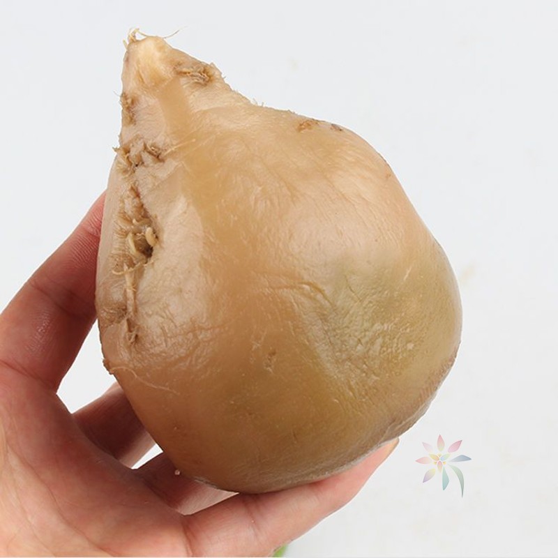 山东疙瘩咸菜下饭菜斤芥菜疙瘩大缸腌制口味正宗咸菜/0lb蔬菜组合