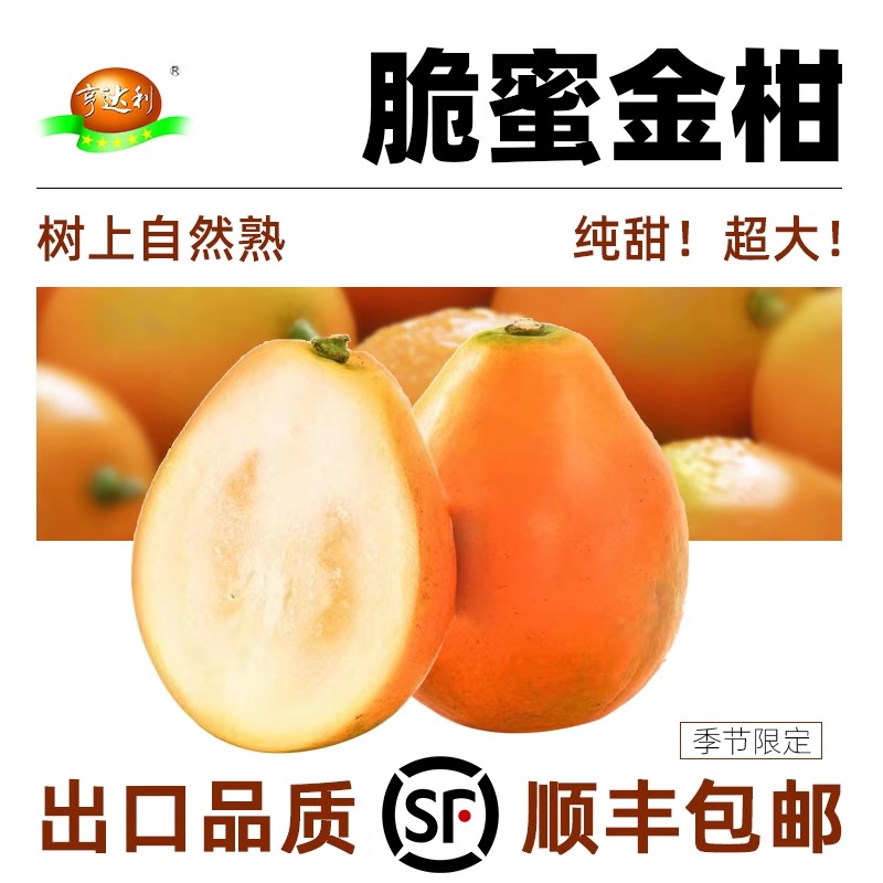 广西融安2斤/3斤脆蜜金柑金桔当季水果甜脆桔子新鲜顺丰包邮